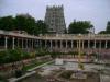 Meenakshi temple complex - Madurai